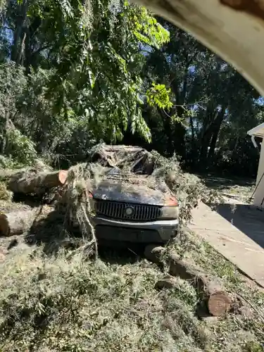 Storm-toppled oak removal in DeBary, FL