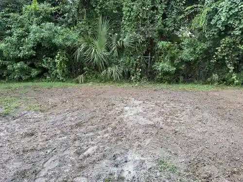 Tall sabal palm removal in Port Orange, FL